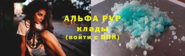 трава Пересвет