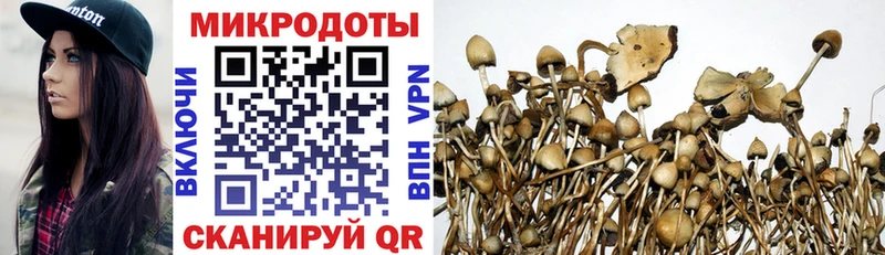 Галлюциногенные грибы Magic Shrooms  Купить где  Видное 
