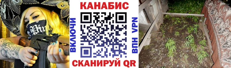Купить  Видное  Канабис конопля 